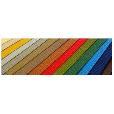 HOJA PASTEL MI-TIENTES CANSON 160GR 50x65