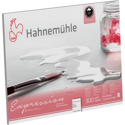 BLOC HAHNEMUHLE EXPRESSION 300 GR