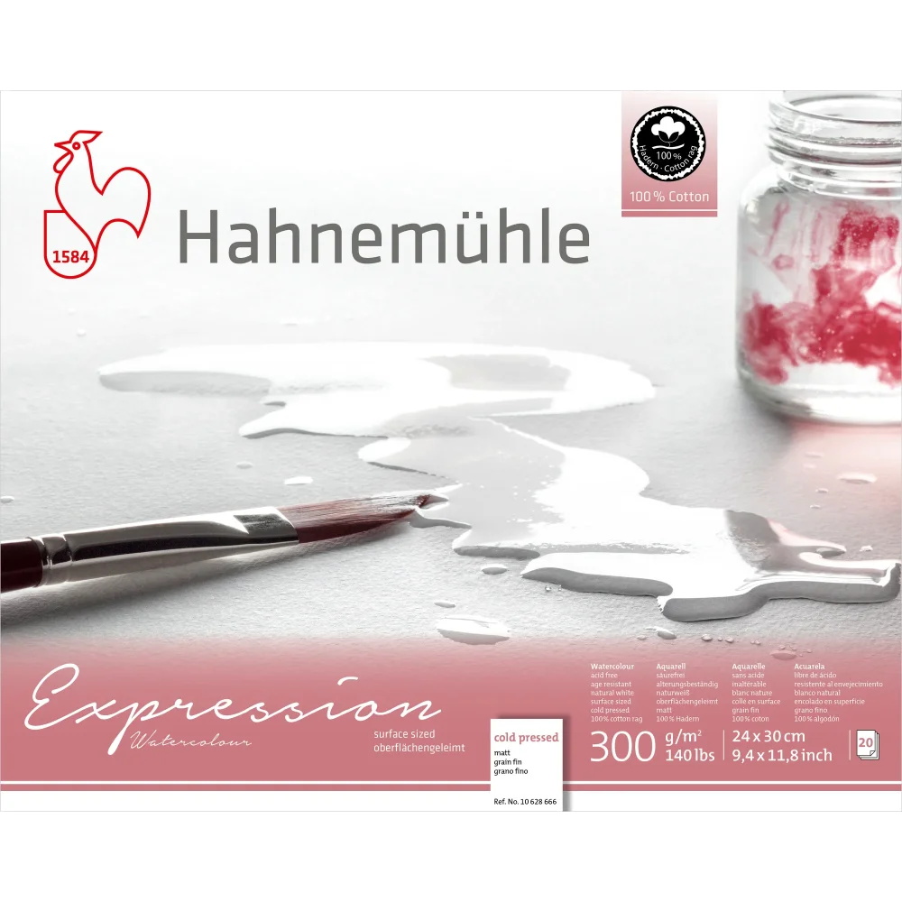 BLOC HAHNEMUHLE EXPRESSION 300 GR